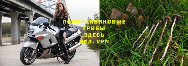 прущая мука Белокуриха