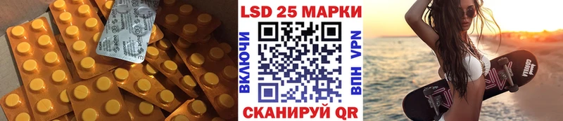 маркетплейс какой сайт  цена наркотик  Жердевка  Лсд 25 экстази ecstasy 