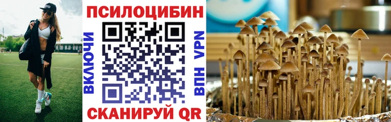 Галлюциногенные грибы мицелий  Жердевка 